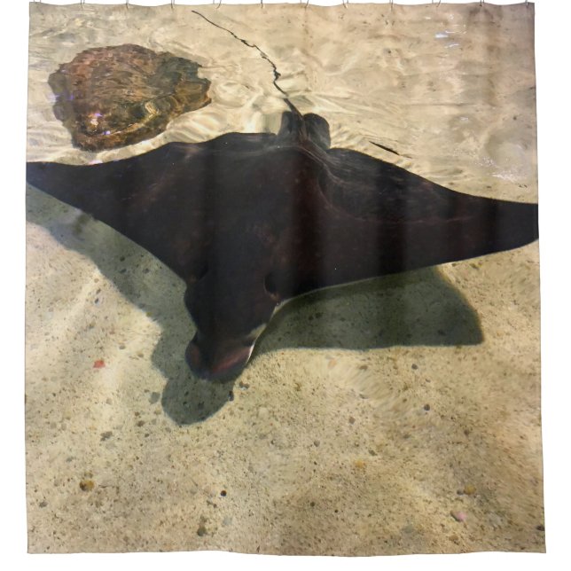 Mystical Stingray (Front)