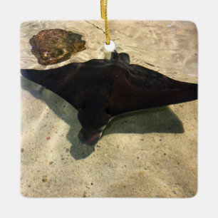 Mystical Stingray Ceramic Ornament