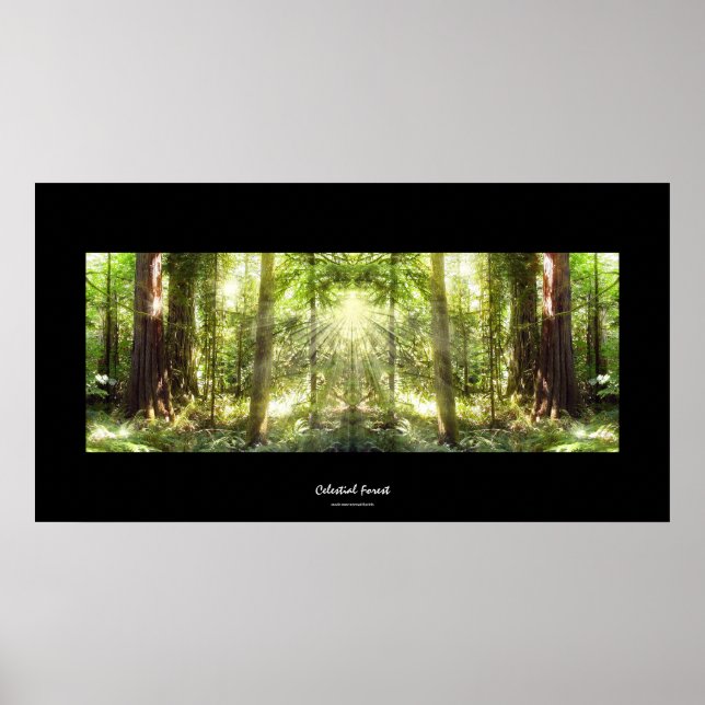Mystical Sunlight Through Forest Photo Art Poster (Front)