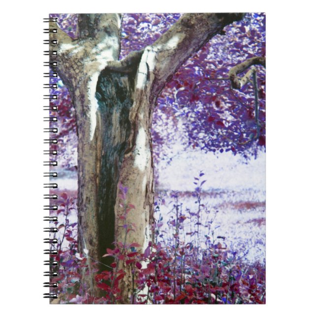 Mystical Tree Notebook (Front)
