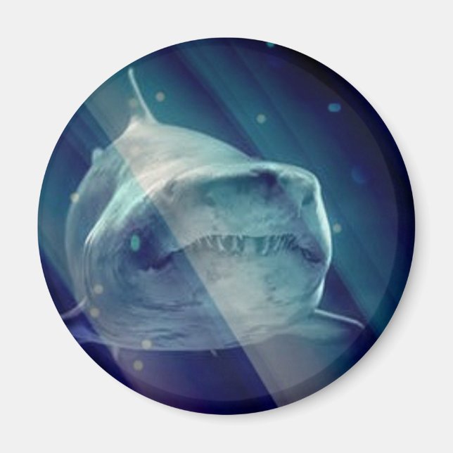 Mystical Underwater Shark Magnet (Front)