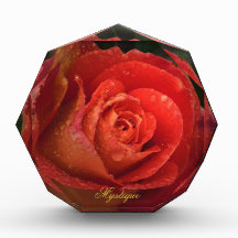 Mystique Dark Botanical Red Orange Rose Facet