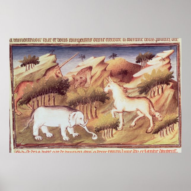 Mythical animals in the wilderness poster (Front)