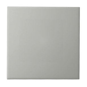 Mythical Argos Grey Square Kitchen and Bathroom Tile