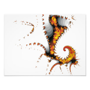 MYTHICAL CREATURES PHOTO PRINT