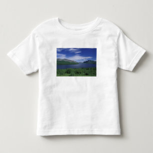 N.A., Canada, Newfoundland, Grose Morne Trout Toddler T-shirt