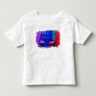 N.A. Canada, Nova Scotia, Bridgewater. Colourful 2 Toddler T-shirt