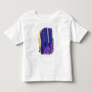 N.A. Canada, Nova Scotia, Bridgewater. Colourful 4 Toddler T-shirt