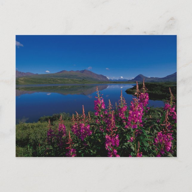 N.A., USA, Alaska, Alaska Range Common Postcard (Front)