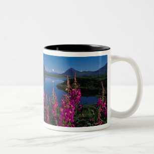 N.A., USA, Alaska, Alaska Range Common Two-Tone Coffee Mug