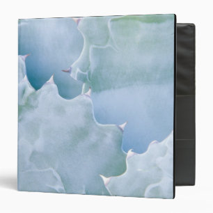 N.A., USA, Arizona, Tucson, Sonora Desert 2 Binder