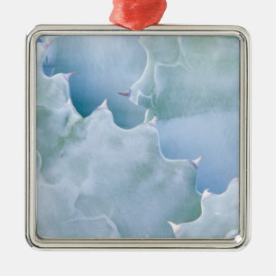 N.A., USA, Arizona, Tucson, Sonora Desert 2 Metal Ornament