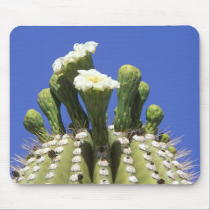 N.A., USA, Arizona, Tucson, Sonora Desert 2 Mouse Pad