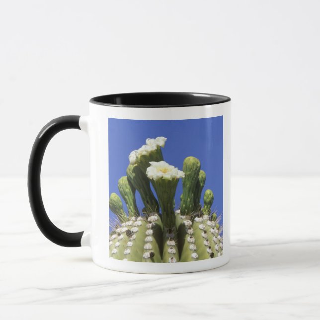 N.A., USA, Arizona, Tucson, Sonora Desert 2 Mug (Left)