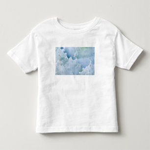 N.A., USA, Arizona, Tucson, Sonora Desert 2 Toddler T-shirt