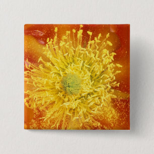 N.A., USA, Arizona, Tucson, Sonora Desert 3 2 Inch Square Button