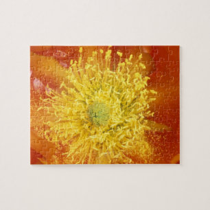 N.A., USA, Arizona, Tucson, Sonora Desert 3 Jigsaw Puzzle