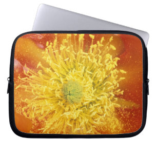 N.A., USA, Arizona, Tucson, Sonora Desert 3 Laptop Sleeve