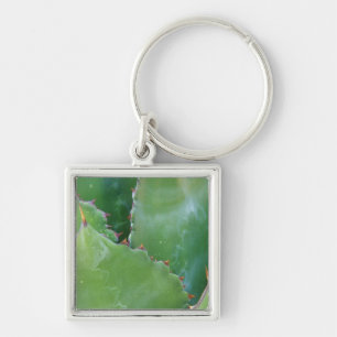 N.A., USA, Arizona, Tucson, Sonora Desert Keychain