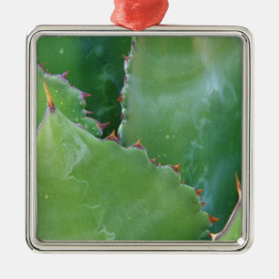 N.A., USA, Arizona, Tucson, Sonora Desert Metal Ornament