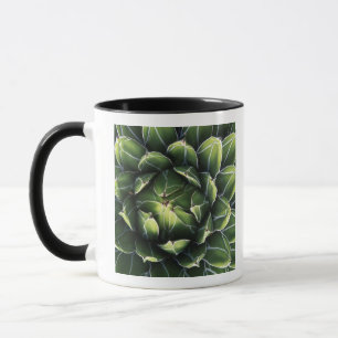 N.A., USA, Arizona, Tucson, Sonora Desert Mug