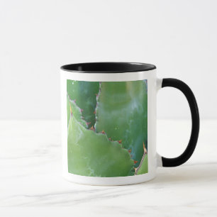 N.A., USA, Arizona, Tucson, Sonora Desert Mug