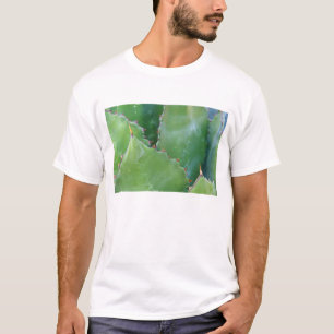 N.A., USA, Arizona, Tucson, Sonora Desert T-Shirt