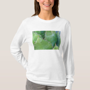 N.A., USA, Arizona, Tucson, Sonora Desert T-Shirt