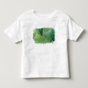 N.A., USA, Arizona, Tucson, Sonora Desert Toddler T-shirt