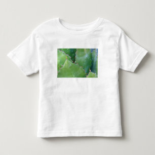 N.A., USA, Arizona, Tucson, Sonora Desert Toddler T-shirt