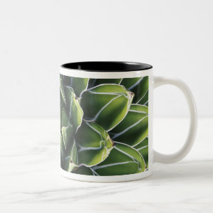 N.A., USA, Arizona, Tucson, Sonora Desert Two-Tone Coffee Mug
