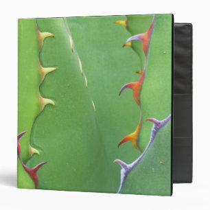 N.A., USA, AZ, Phoenix, Desert Botanical 2 Binder