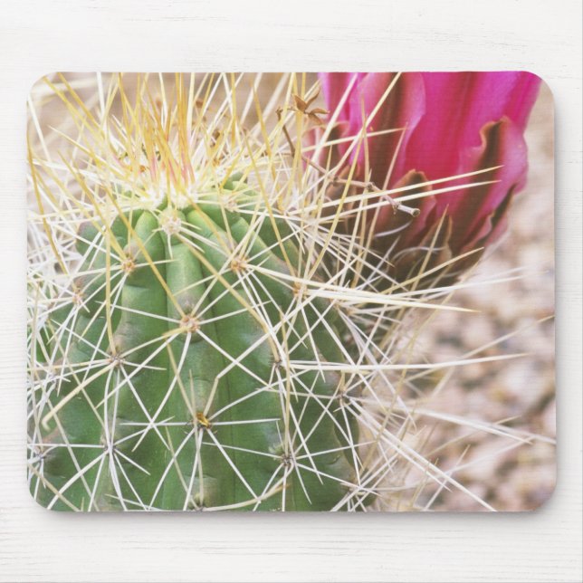 N.A., USA, AZ, Phoenix, Desert Botanical Mouse Pad (Front)