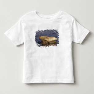 N.A., USA, California, Monterey. Harbour Seal Toddler T-shirt