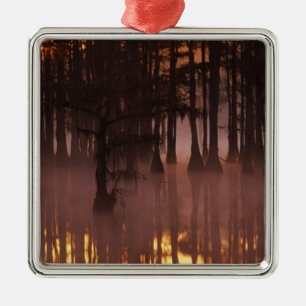 N.A., USA, Georgia, George Smith State Park. Metal Ornament