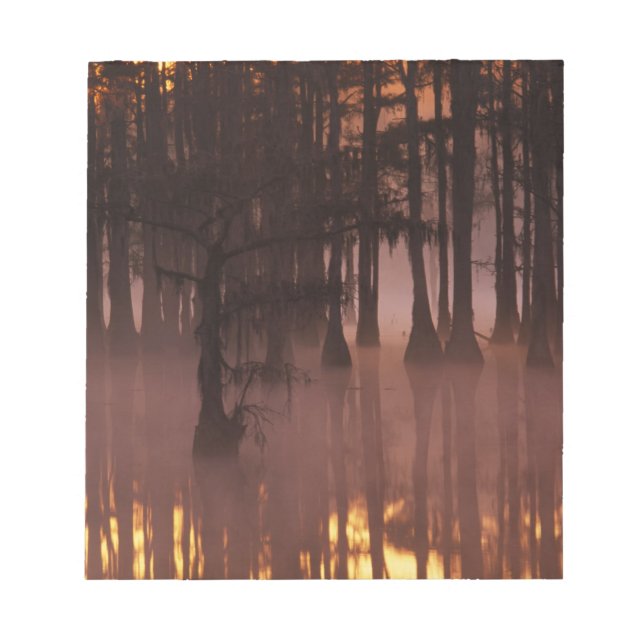 N.A., USA, Georgia, George Smith State Park. Notepad (Front)