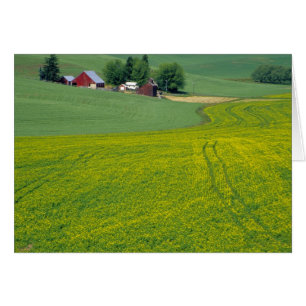 N.A., USA, Idaho, Latah County, near Genesee.