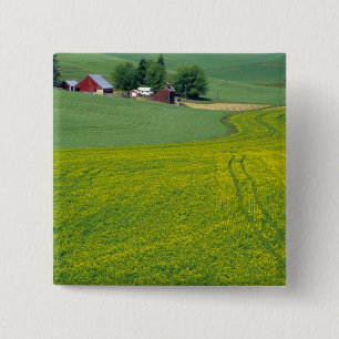 N.A., USA, Idaho, Latah County, near Genesee. 2 Inch Square Button