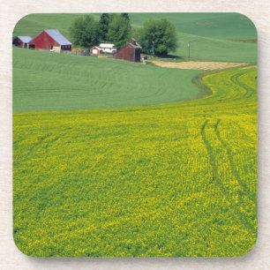 N.A., USA, Idaho, Latah County, near Genesee. Coaster