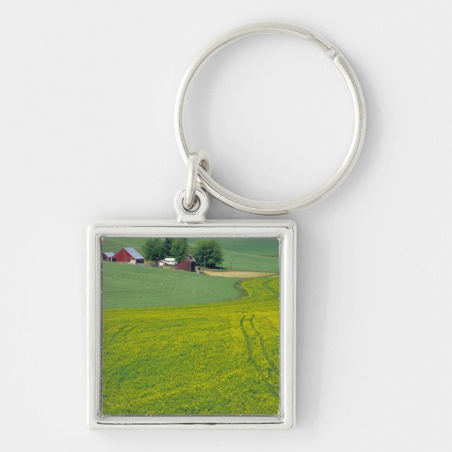N.A., USA, Idaho, Latah County, near Genesee. Keychain (Front)
