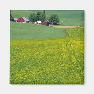 N.A., USA, Idaho, Latah County, near Genesee. Magnet