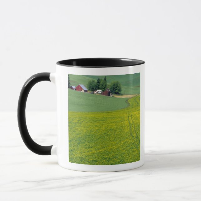 N.A., USA, Idaho, Latah County, near Genesee. Mug (Left)