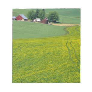 N.A., USA, Idaho, Latah County, near Genesee. Notepad