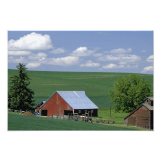 N.A., USA, Idaho, Latah county near Genesee. Photo Print