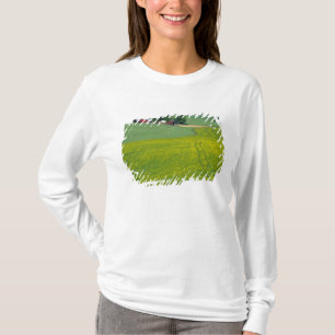 N.A., USA, Idaho, Latah County, near Genesee. T-Shirt