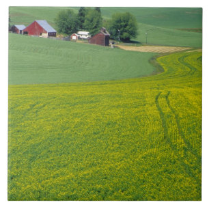 N.A., USA, Idaho, Latah County, near Genesee. Tile