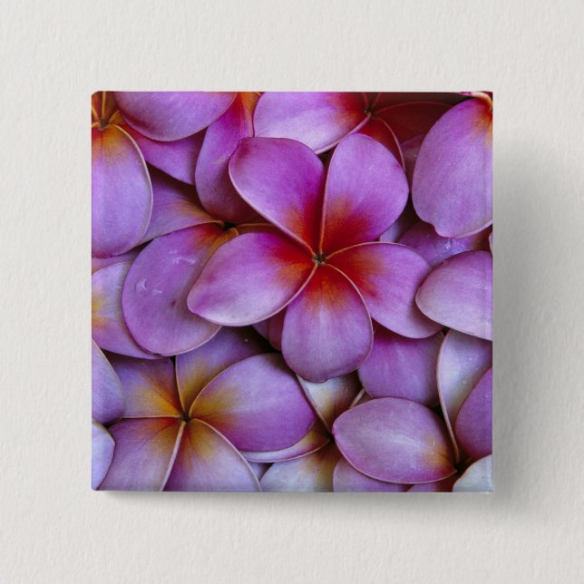 N.A., USA, Maui, Hawaii. Pink Plumeria blossoms. 2 Inch Square Button (Front)