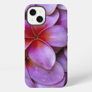 N.A., USA, Maui, Hawaii. Pink Plumeria blossoms. iPhone 13 Case