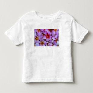 N.A., USA, Maui, Hawaii. Pink Plumeria blossoms. Toddler T-shirt