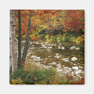 N.A., USA, New Hampshire, White Mountains, Magnet